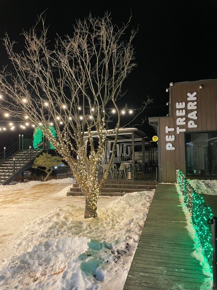 충주캠핑장 충주애견동반캠핑장 - 펫트리파크