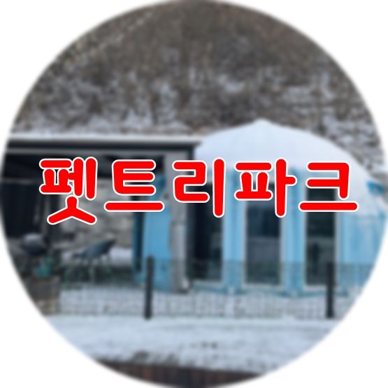 충주애견동반캠핑장 펫트리파크 애견카페