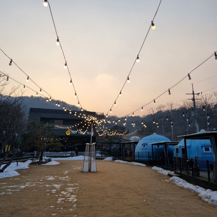 충주 캠핑장 애견 동반 가능한 글램핑장 펫트리파크