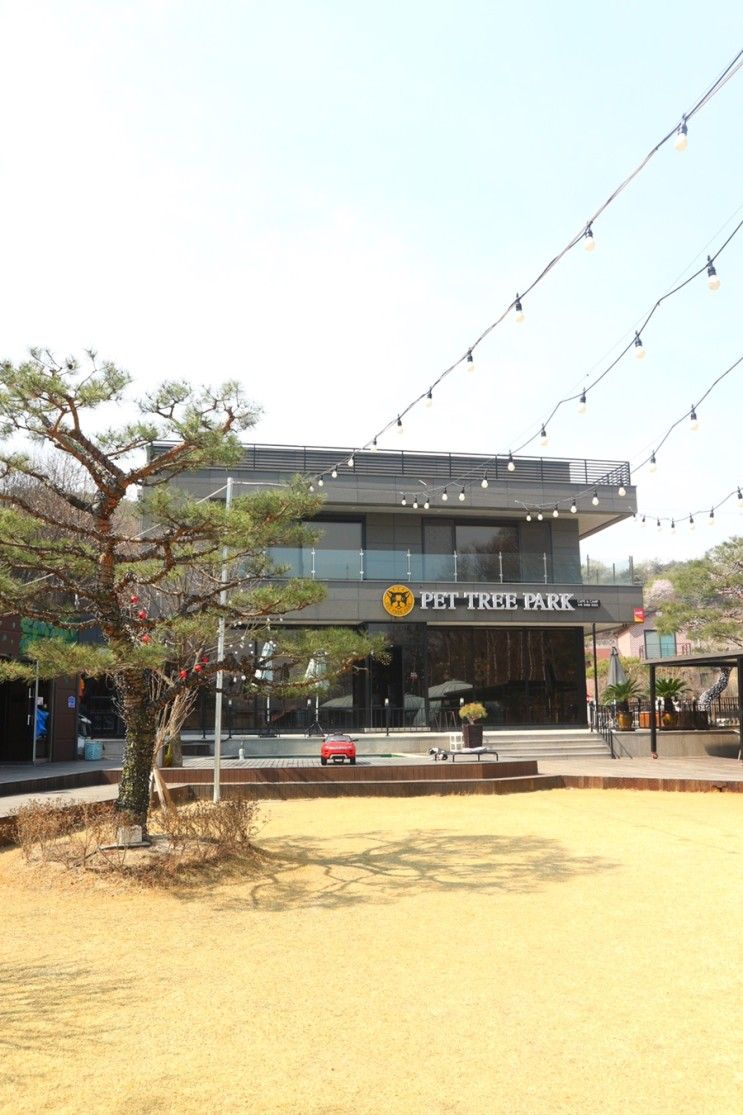 늦은 후기 :: 충주애견동반숙소 펫트리파크(충주애견동반글램핑장)