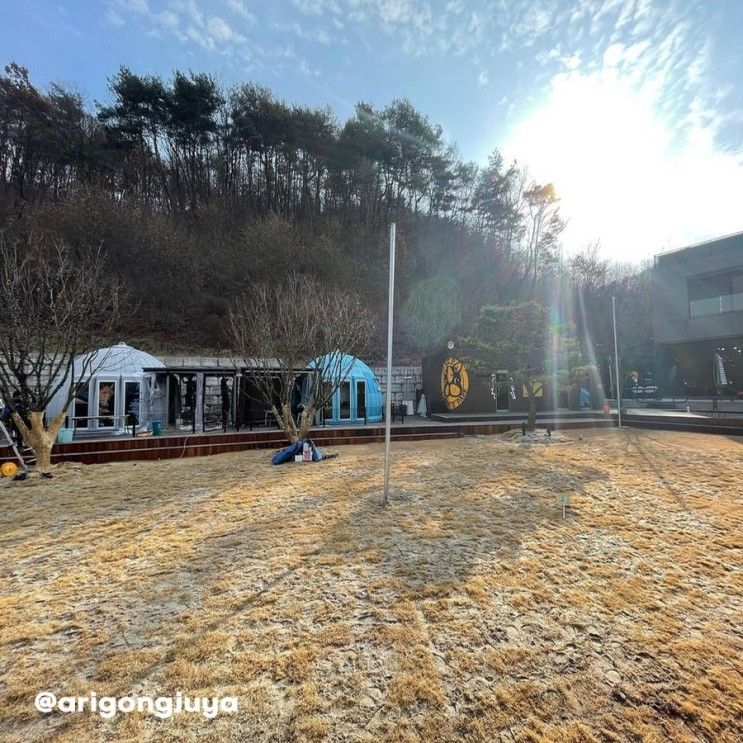 충주) 애견동반 패밀리펜션이 있는 펫트리파크