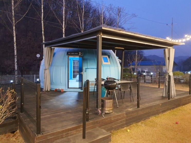 충주 애견동반 여행 숙소 글램핑 팬션 펜션 펫트리파크 대형견도