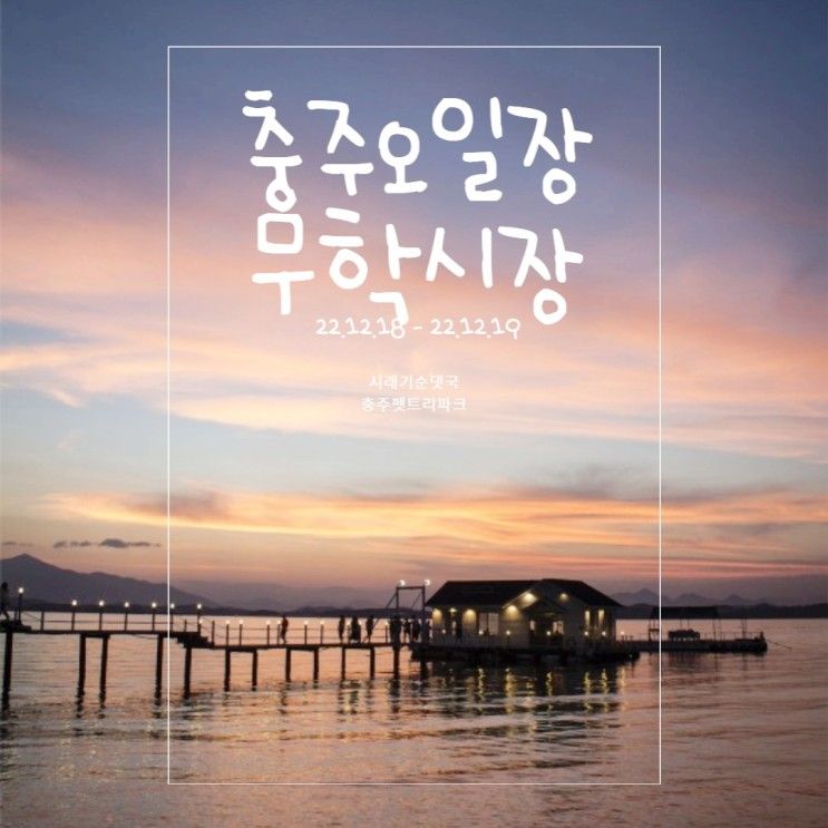 [충주여행] 충주 무학시장 / 펫트리파크펜션