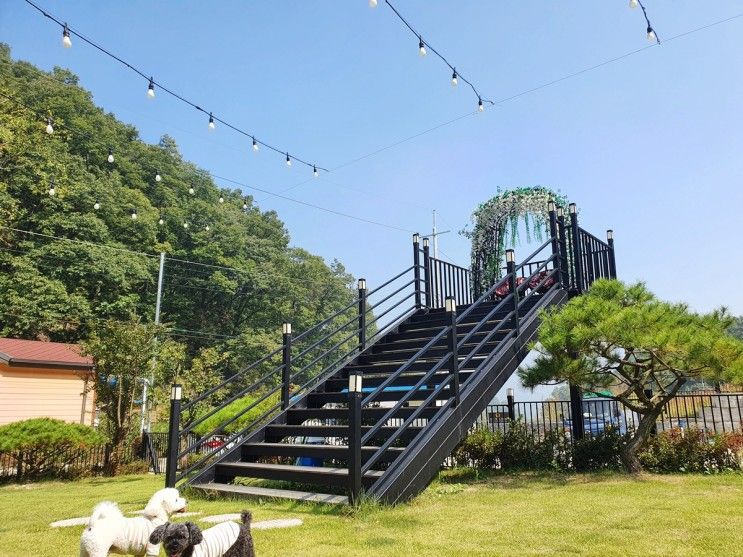 애견동반 캠핑 리얼그라운드로 더 편한 충주 애견글램핑