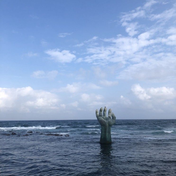 포항 가족여행 블루라이트리조트 독채! (죽도시장 가격 홍게...