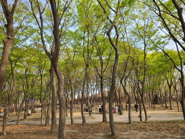 서울근교 갈만한곳, 하남 유아숲체험원