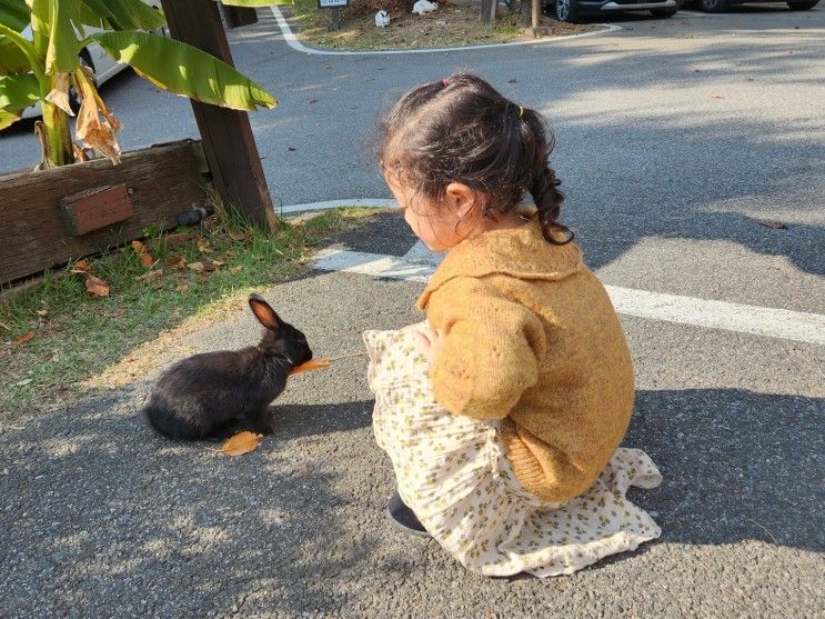 [충북 제천] 클럽이에스제천 리조트 놀거리