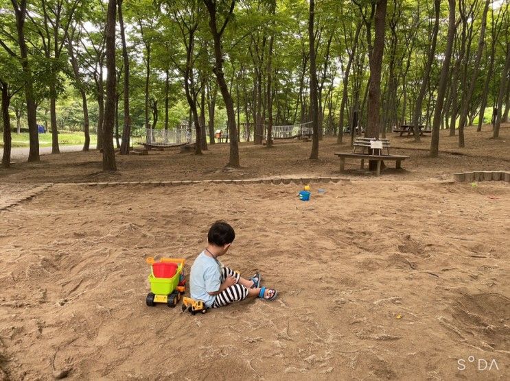 하남 나무고아원(유아숲체험원) :: 경기도 아이와 가볼만한곳, 남양주 근처 모래놀이