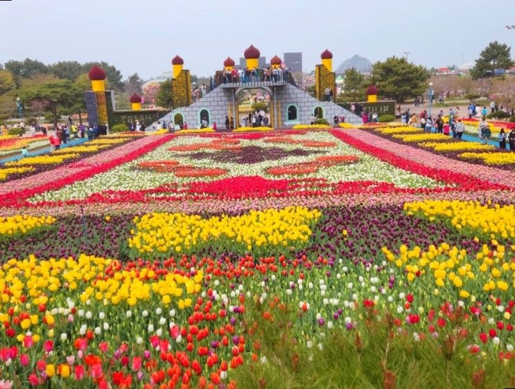 안면도 태안세계튤립축제 황홀한 코리아플라워파크 꽃박람회