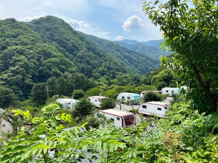 서울 근교 가평글램핑*명지산 카라반 글램핑