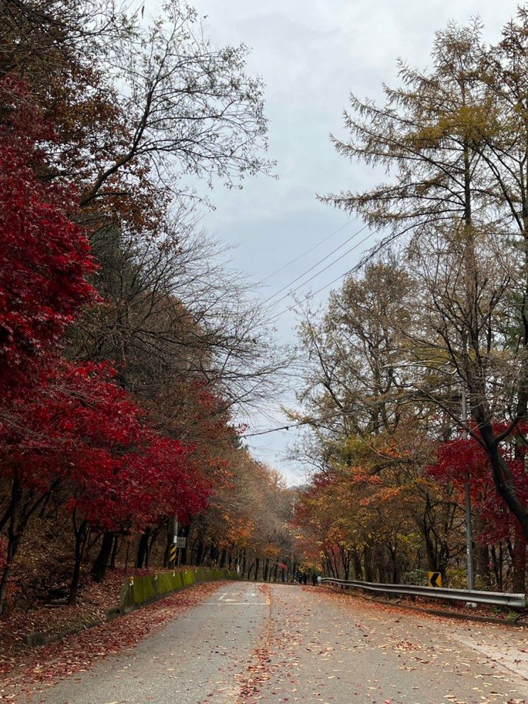 1박 2일 가평여행 일상 : 별똥별글램핑카라반 캠핑 후기