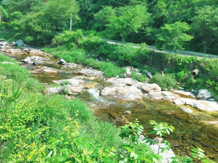 가평 포시즌 캠핑&글램핑(조용하게 쉬기 좋은 곳)