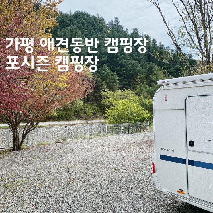 경기도 가평 애견동반 캠핑장 계곡이 앞에 있는 포시즌캠핑장