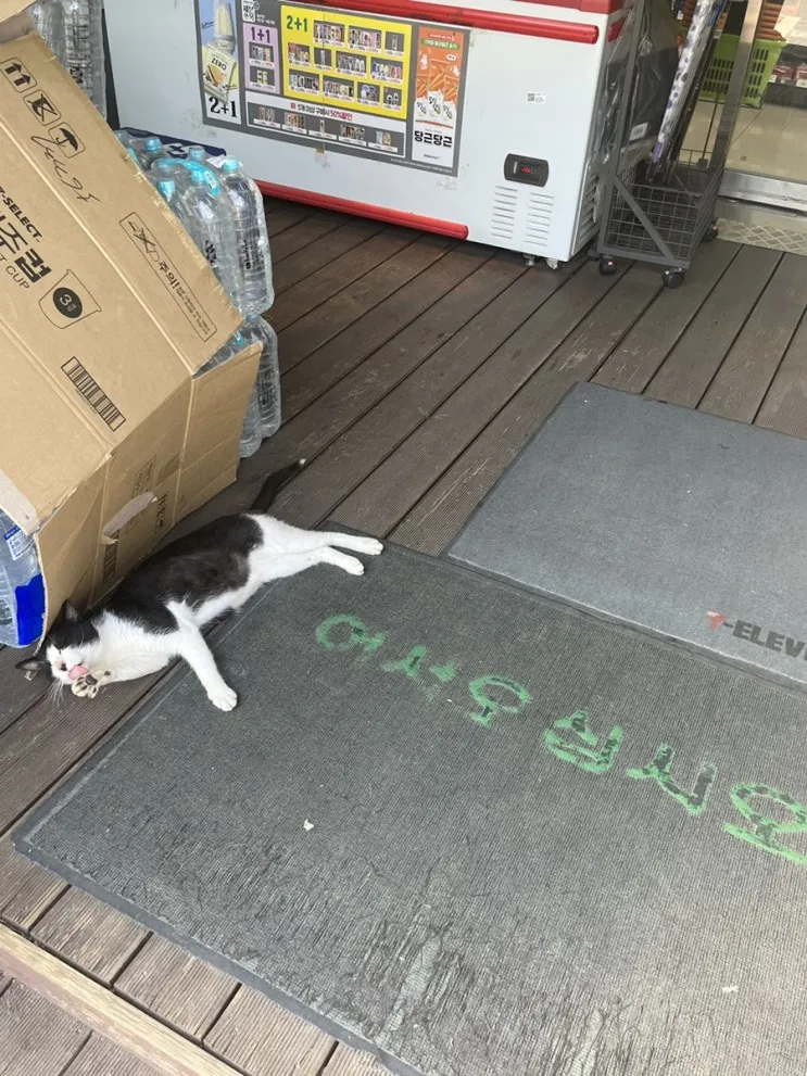 가평 테라스풀빌라펜션 디럭스A 후기