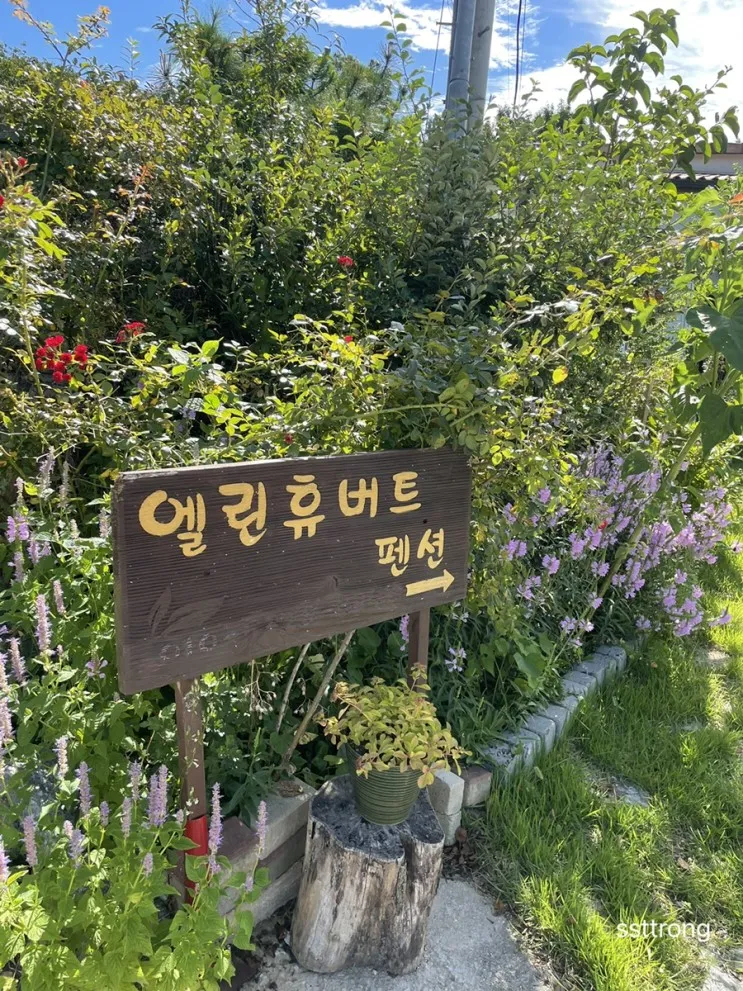 [강화도 여행] 에어비앤비 숙소... 숙소 / 엘린휴버트펜션...