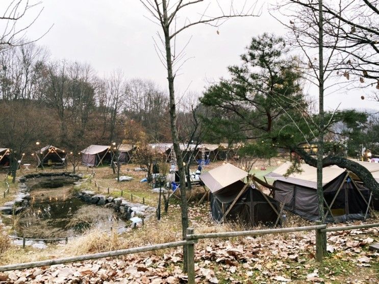 파주 팜랜드 동물체험 바베큐 글램핑 모두 가능한곳