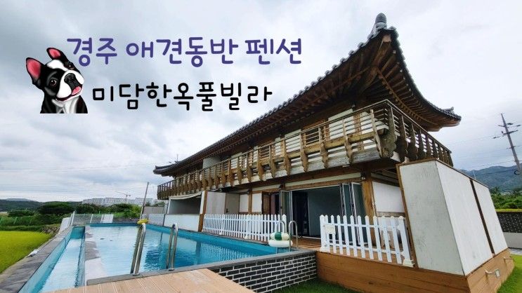 경주 애견동반 펜션 미담한옥풀빌라 깨끗하고 좋아요