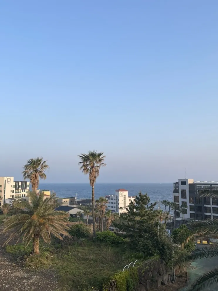 제주여행 애월 가족 여행 숙소 다인 리조트