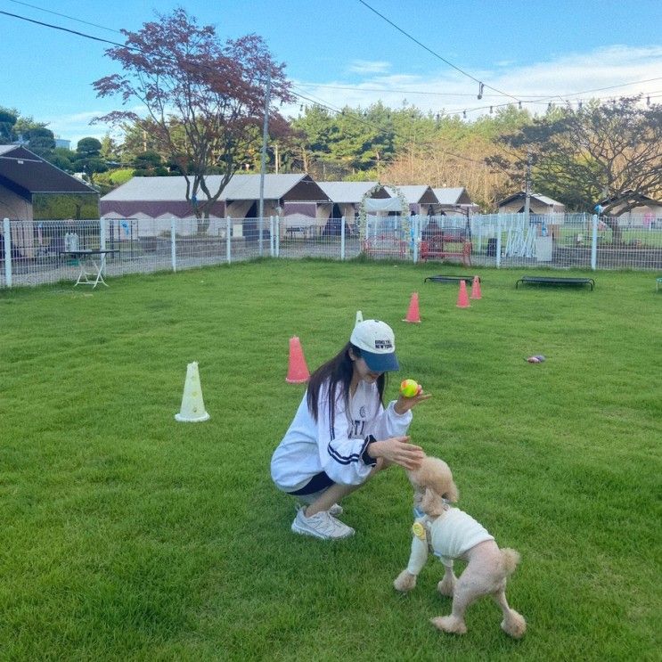 태안 애견 글램핑 펫앤트리 강아지 동반 이용 추천 후기