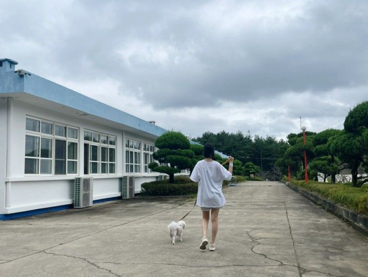 [펫앤트리]초등학교 분교를 글램핑장으로!이색 서산애견동반글...