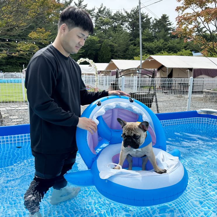 안면도 애견 글램핑 강쥐들의 천국 서산 펫앤트리 글램핑