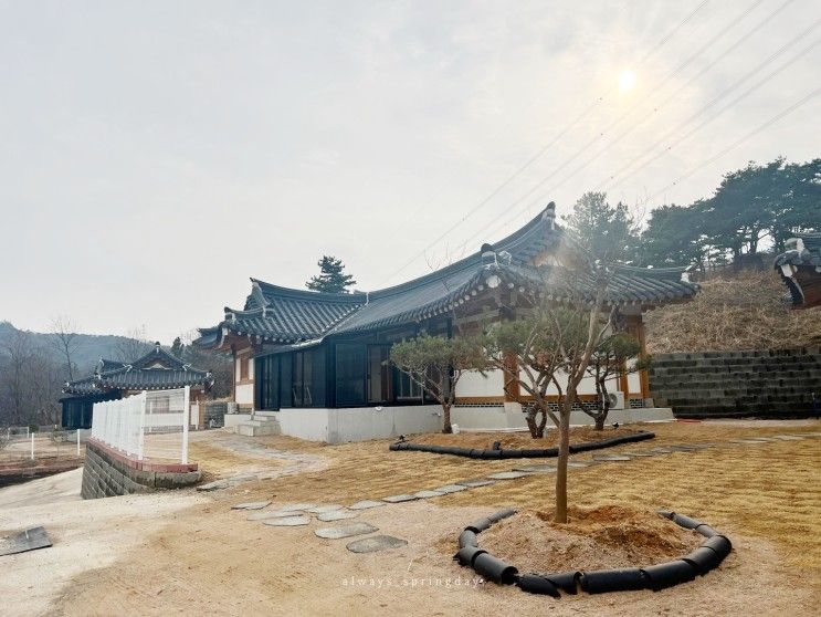 내돈내산 경주 노블리안 형산 한옥 독채 풀빌라(애견동반 가능)