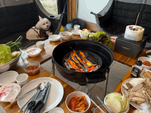 [경주애견동반숙소]... 가성비풀빌라 노블리안형산독채한옥풀빌라