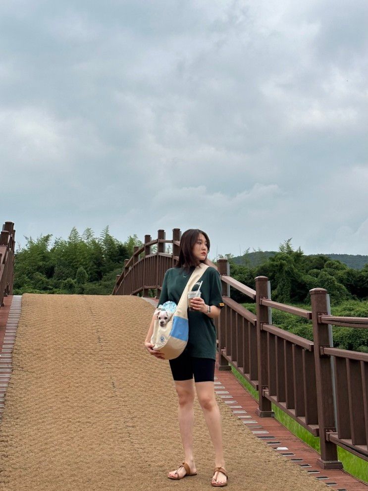 올 여름이 이렇게도 길었던가