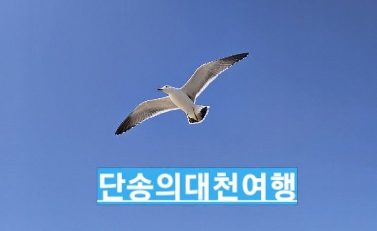 대천숙소 환상의바다리조트 만족스러운 숙소 컨디션과 주변...