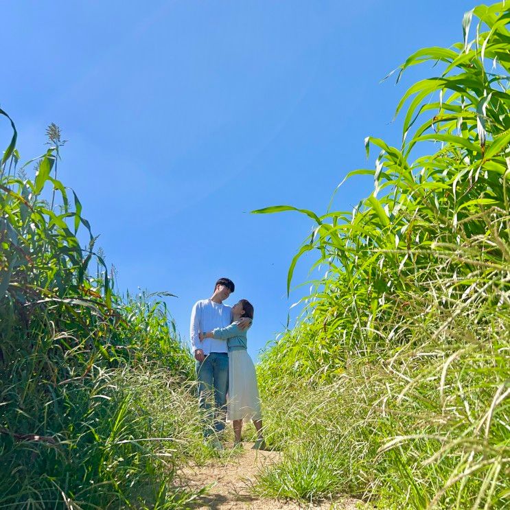 청보리창고/대천스카이바이크/환상의바다리조트/대천항수산시장