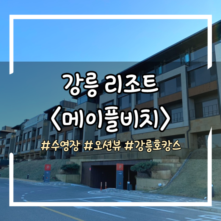 [강릉 메이플비치리조트] 디럭스 자쿠지에서 진정한 호캉스