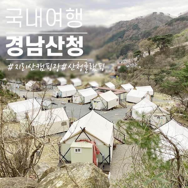 산청 글램핑 : 반려동물 동반 지리산리조트 글램핑 힐링하기