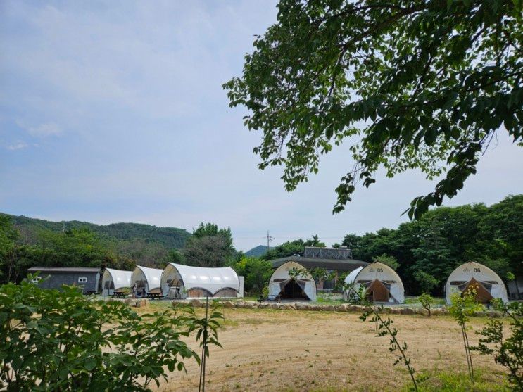 아산 와이글램핑