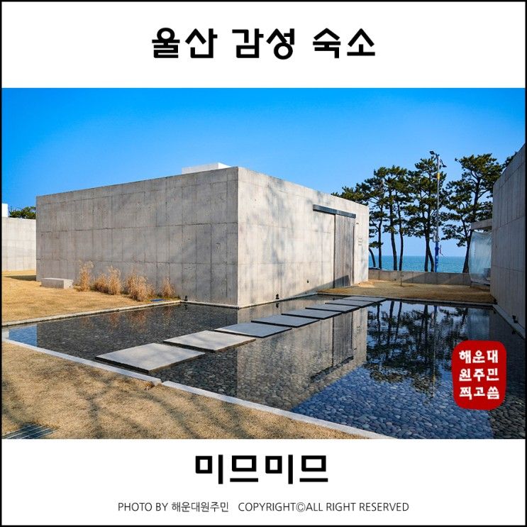 울산 풀빌라 감성숙소 간절곶 펜션 추천 미므미므 힐링 여행