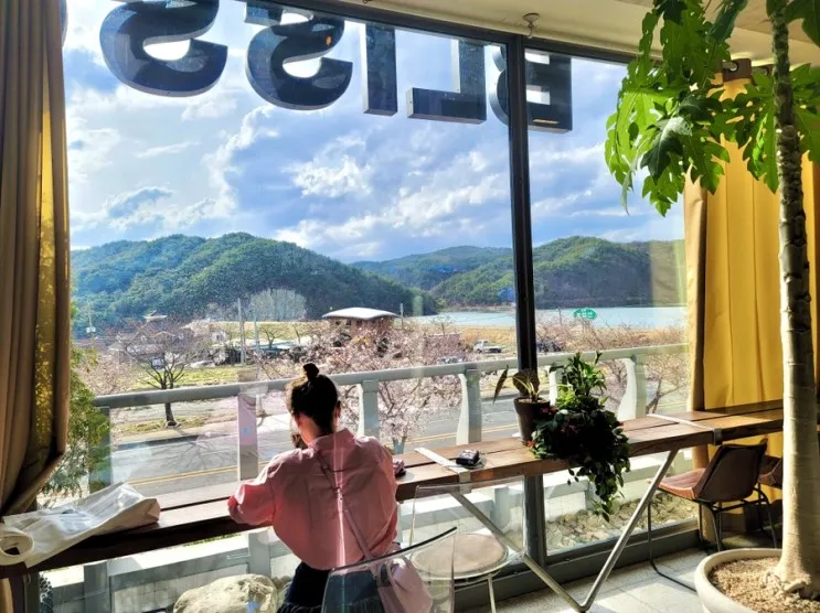 [봄 경주 여행/ 1일차] 일성 보문 콘도, 벚꽃 만개 보문호수...