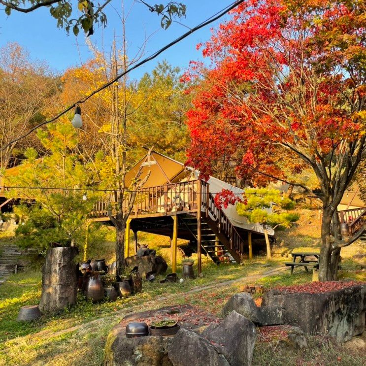 충북 제천 글램핑 추천 깨끗, 깔끔, 가성비 갑! 청풍월드니스글...