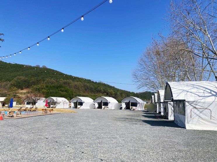 창녕 낙동강 위더스 럭셔리글램핑 깔끔한 글램핑장