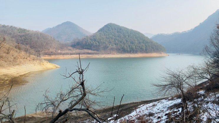 충주호 애견동반펜션 :: 제천 녹수와 청산의 집 펜션 (장점/단점)