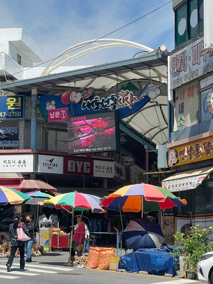 제천여행(제천참좋은글램핑/빨간오뎅/수제돈가스)