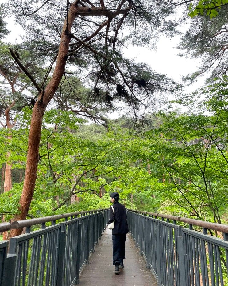 2박 3일 태안 여행기, 태안 시골밥상|태안 펜션 쏠미라벨...