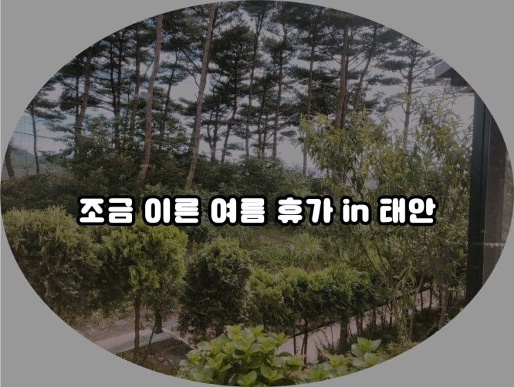 [조금 이른 여름 휴가//태안에서 휴가/쏠미라벨 숙소 비추천 후기]