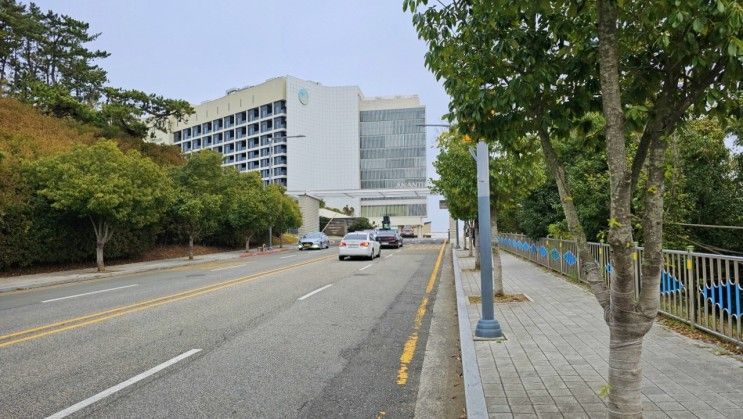 예정인 아난티 힐튼 부산... 조식 뷔페, 아난티 앳 부산 코브)