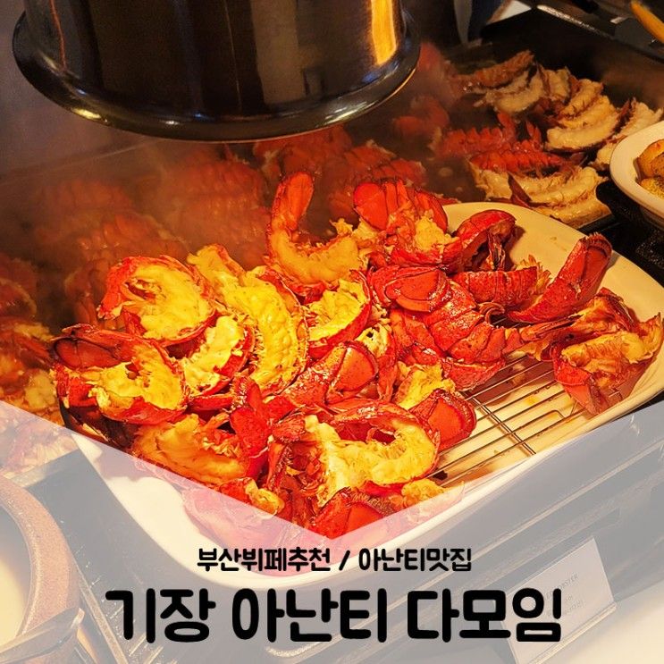 부산뷔페추천 / 아난티맛집 기장 아난티 앳 부산 코브 다모임...