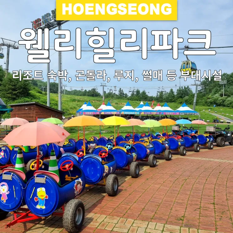 횡성 웰리힐리파크 리조트 숙박, 곤돌라, 루지, 썰매, 부대시설
