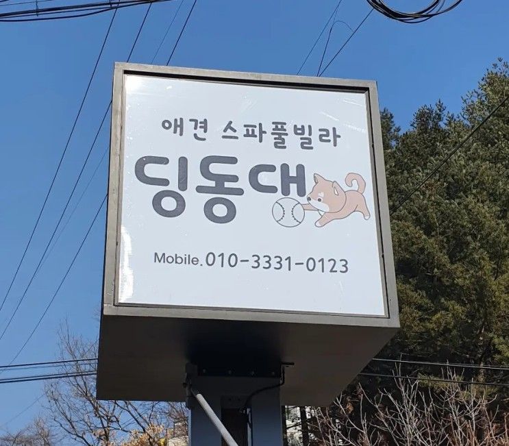 가평 "딩동댕 애견 스파 풀빌라 독채 펜션" 소개