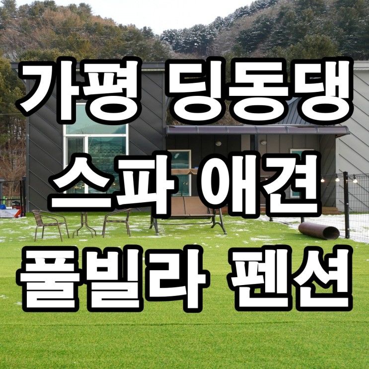 2023년 1월 신축오픈 가평애견풀빌라 가평 딩동댕 스파 애견...