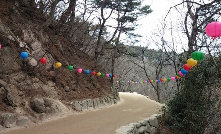 친구들과 급 다녀온 경주 여행_몽블랑펜션/고기파티/불국사...