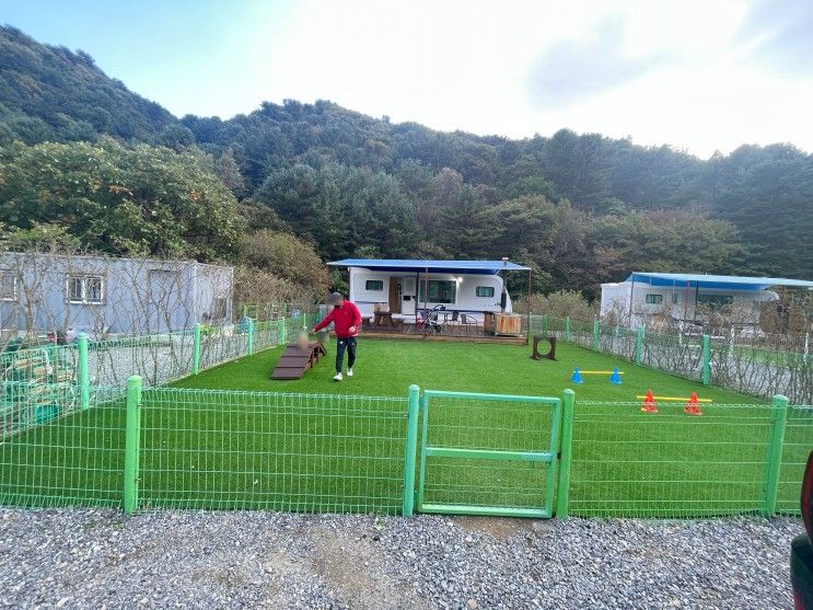 여행 / 가평 임초리 애견동반 펜션,카라반 딩동댕 애견 스파...