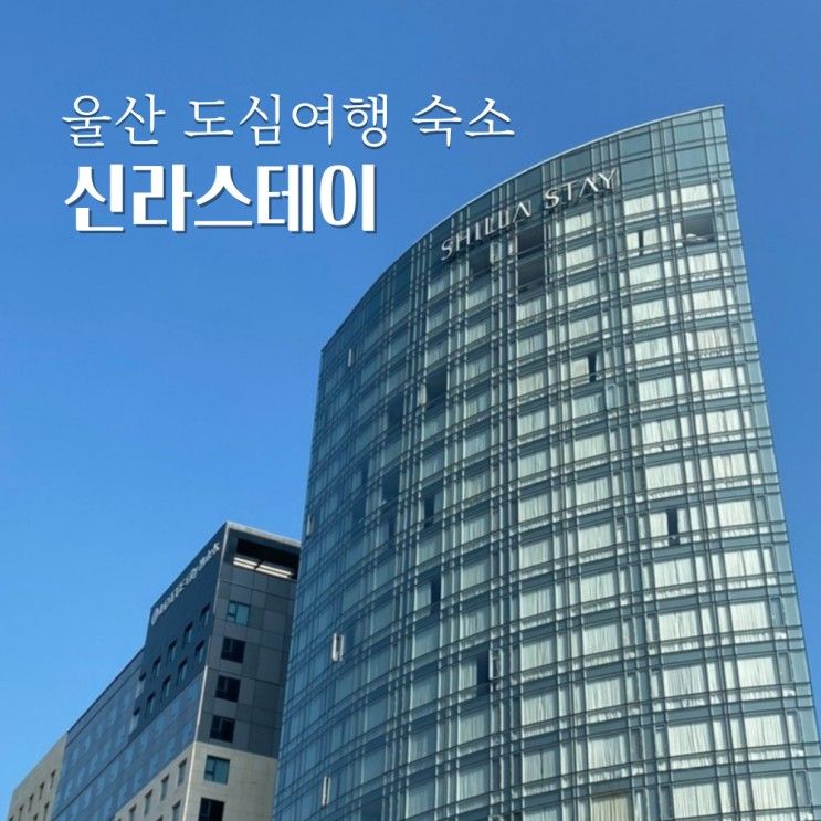 울산 호텔 신라스테이 스탠다드 더블룸 뚜벅이 도심 여행 숙소