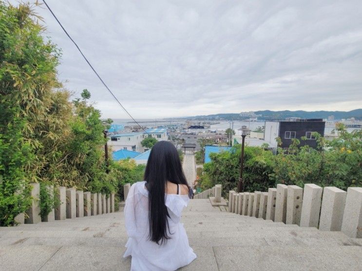 [포항] 구룡포전통시장/대게... 동백꽃필무렵촬영지/달보드레펜션